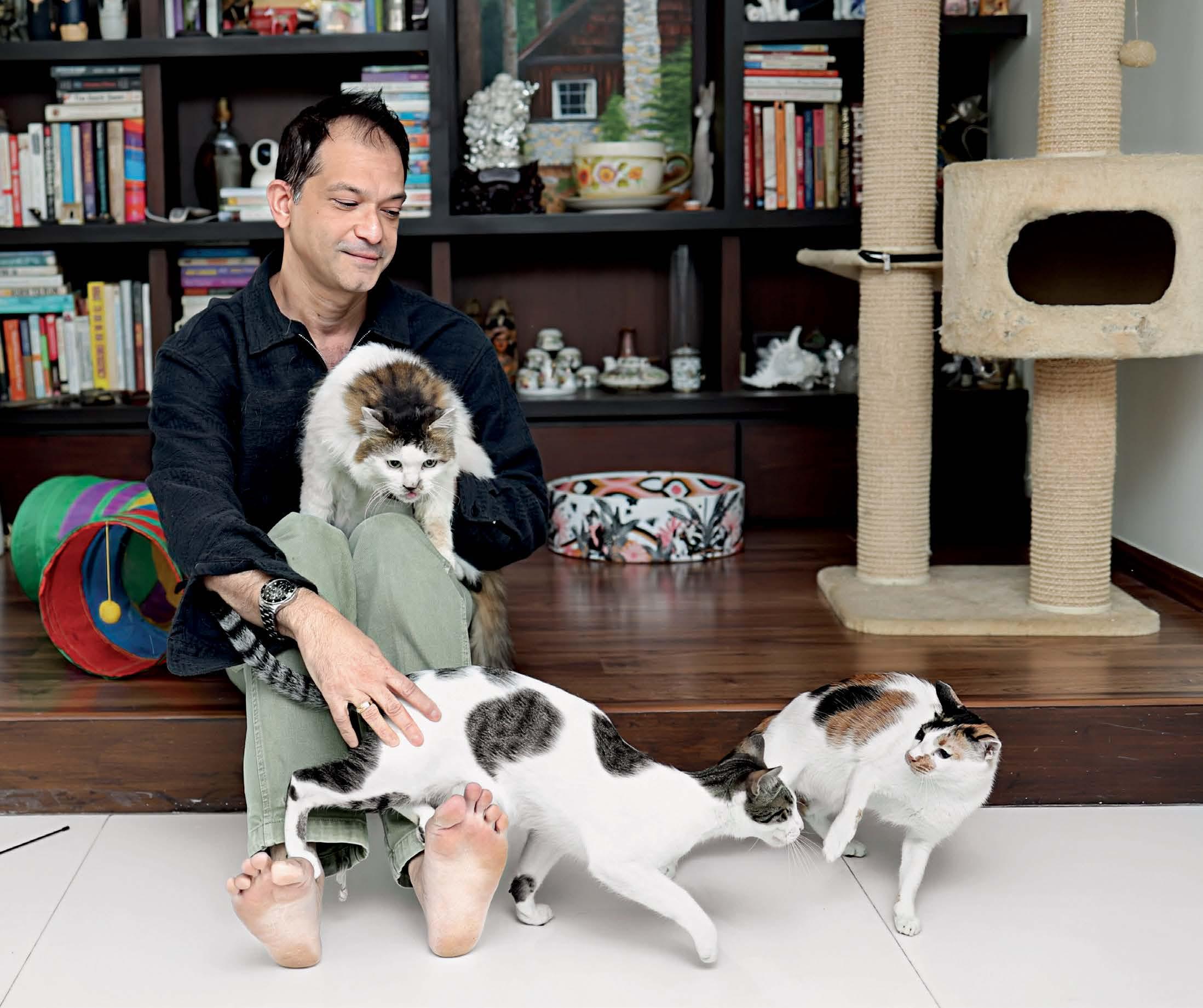 CHANGING FACE OF WILLS